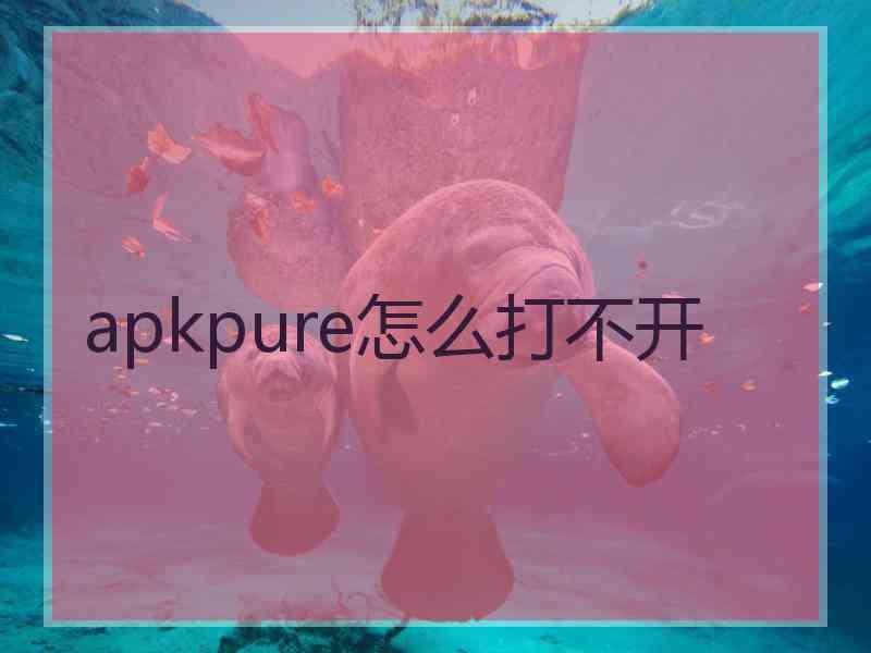 apkpure怎么打不开