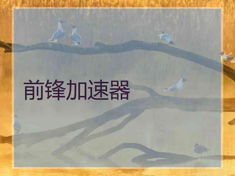 前锋加速器