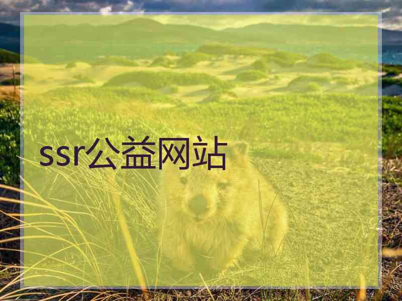 ssr公益网站