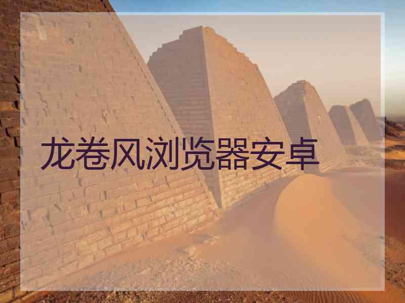 龙卷风浏览器安卓