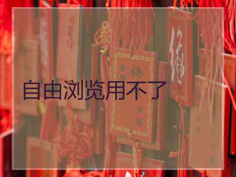 自由浏览用不了