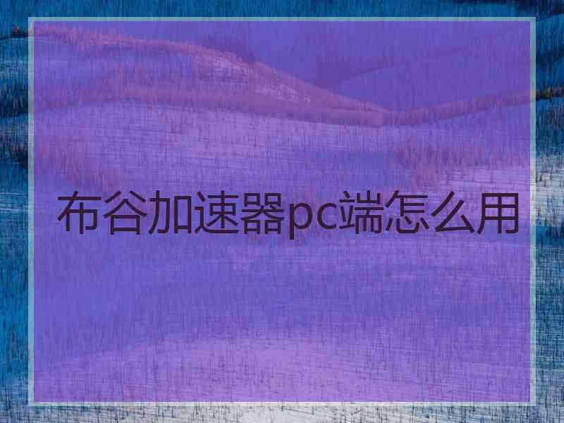 布谷加速器pc端怎么用
