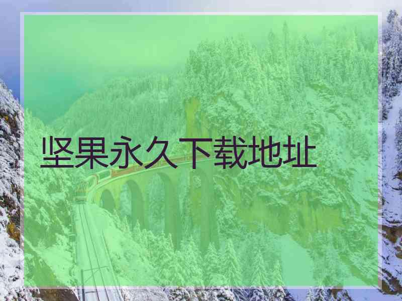 坚果永久下载地址