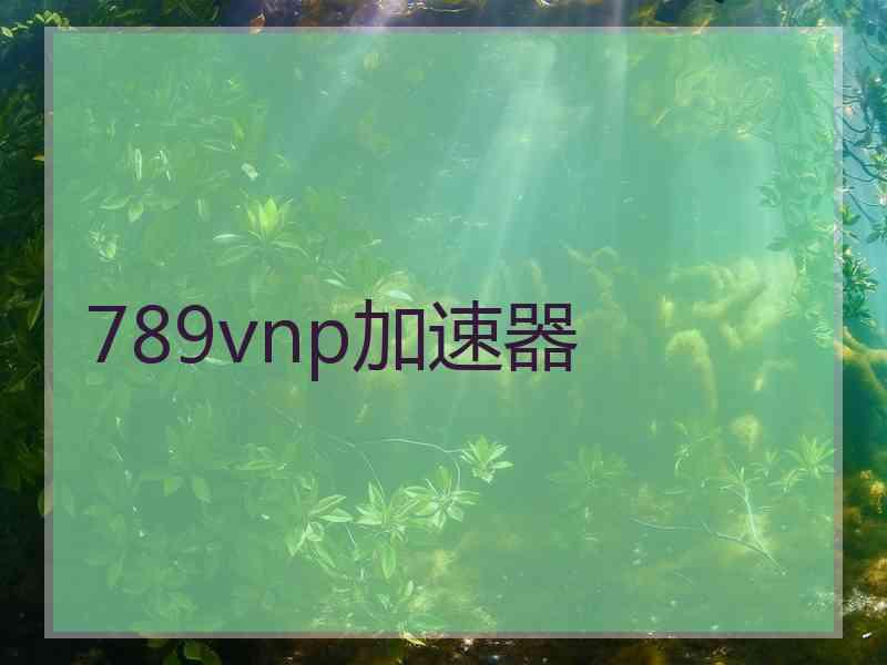789vnp加速器