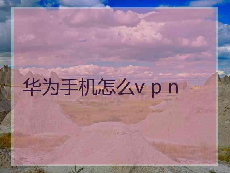 华为手机怎么v p n
