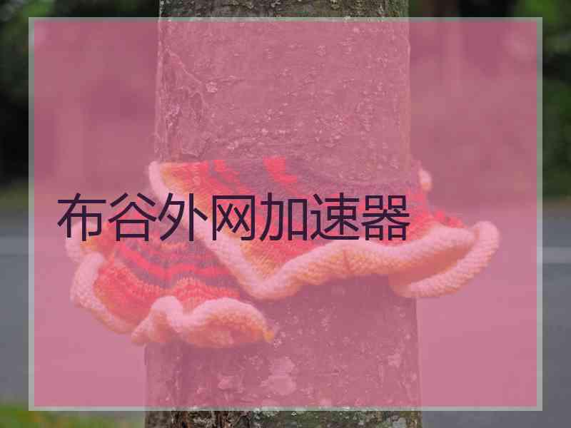 布谷外网加速器
