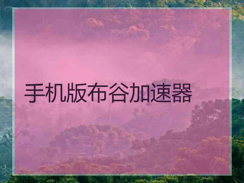 手机版布谷加速器