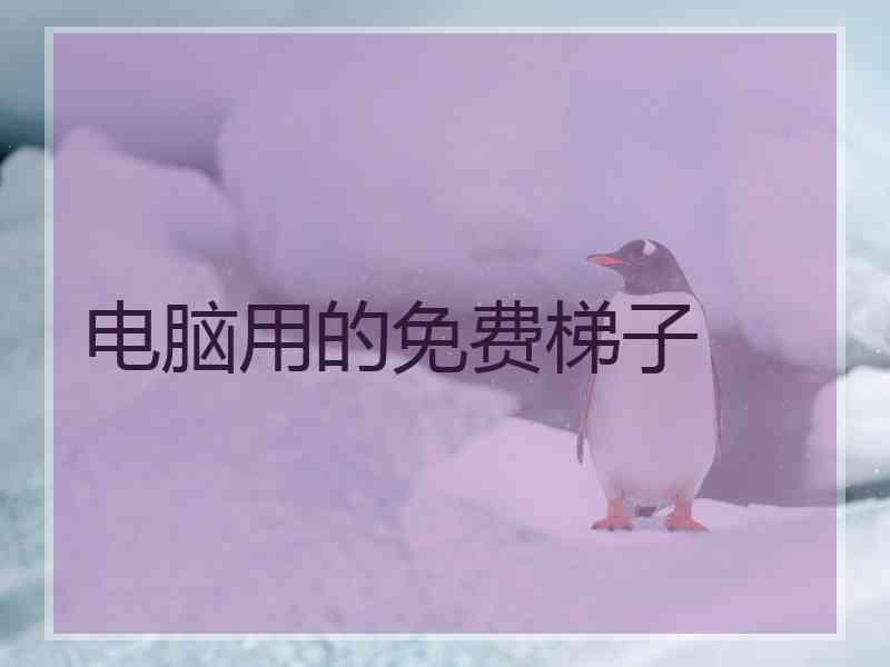 电脑用的免费梯子