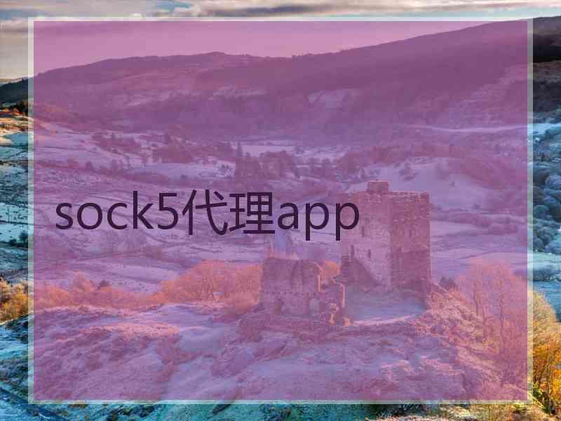 sock5代理app