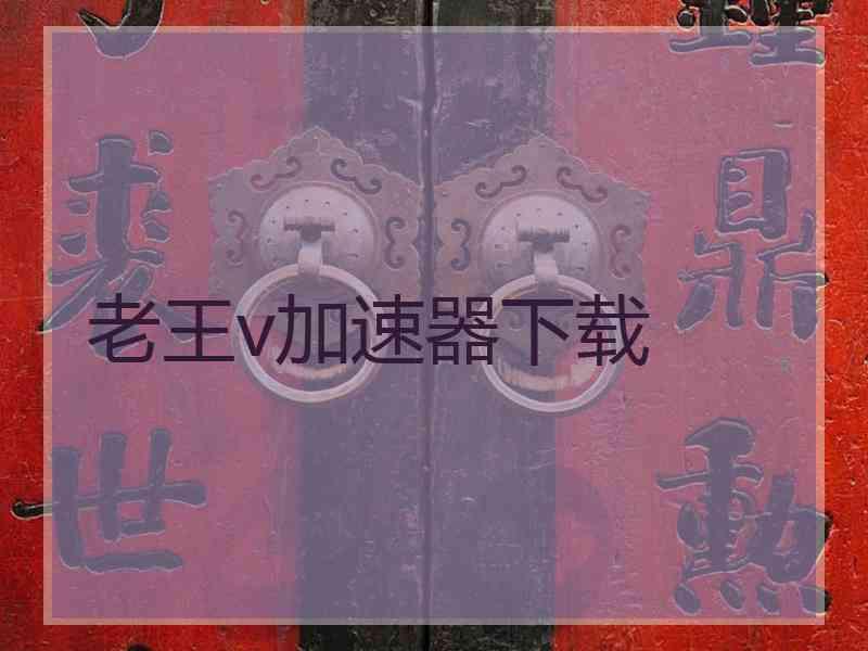 老王v加速器下载