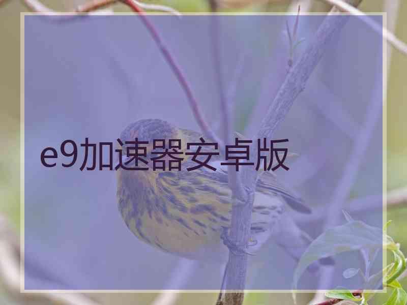 e9加速器安卓版