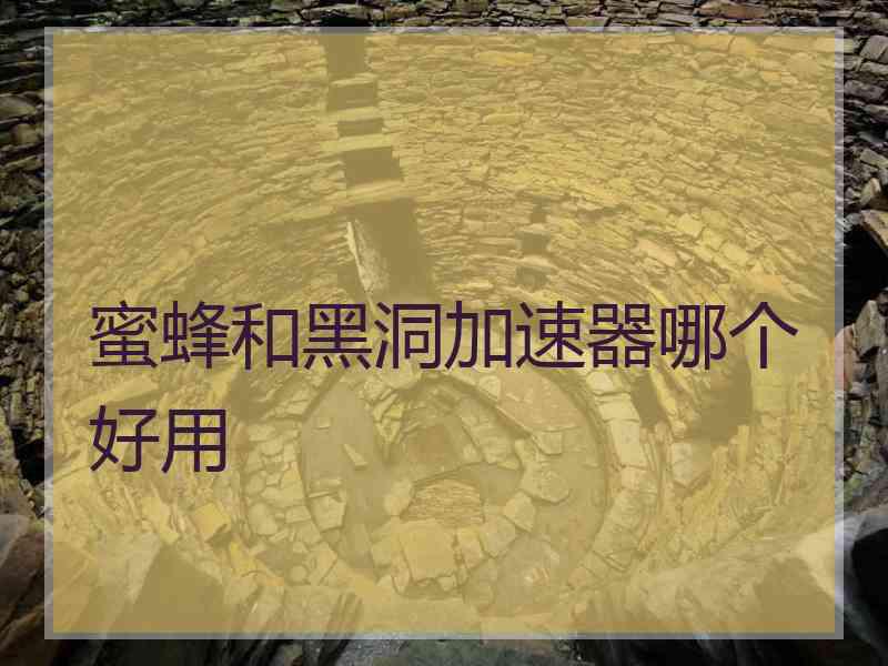 蜜蜂和黑洞加速器哪个好用